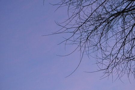 After sunsetの写真素材