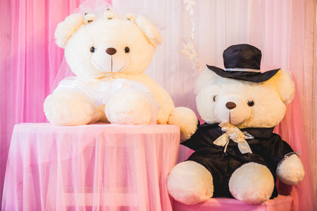 Teddy bear wedding bride and groomの写真素材