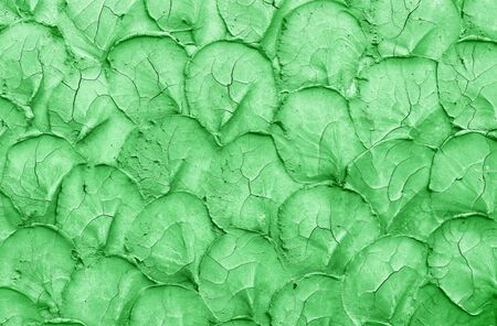 texture of a green cement as a background