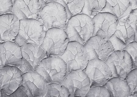 Texture gray plastered wall for backgroundの写真素材