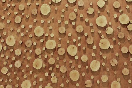 timber for background.の写真素材