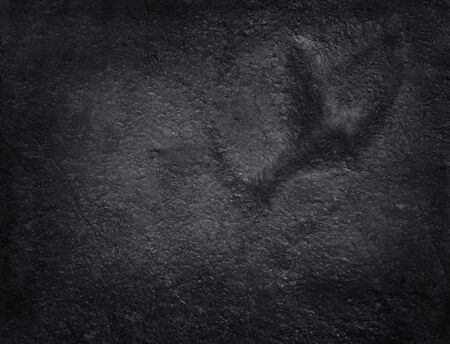 black stone texture backgroundの写真素材