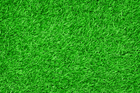 Top view of artificial green grass texture background.の写真素材