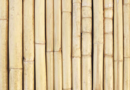 White bamboo fence texture background, pattern of natural wall for design art work.