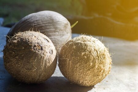 Close-up of old coconut and the peeled coconut are ready to be grated. And squeezed coconut milk To use as a food ingredient with selective focus.の写真素材