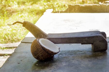 Scrape the coconut to make coconut milk. to be used as an ingredient in the food with the selected focus.の写真素材