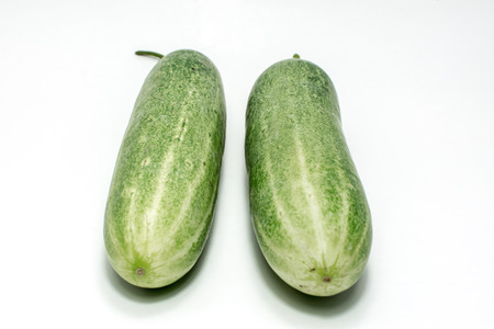 Cucumbers on white backgroundの写真素材