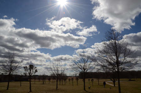 sunshine dayの写真素材