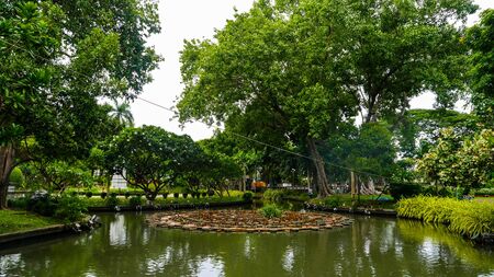 Saranrom Park is the beautiful garden in Bangkok Thailand.