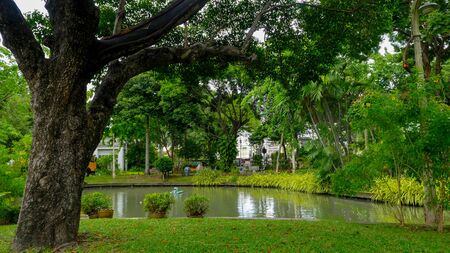 Saranrom Park is the beautiful garden in Bangkok Thailand.の写真素材