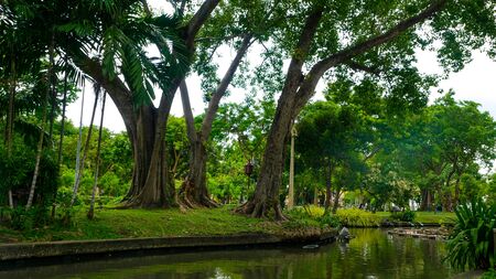 Saranrom Park is the beautiful garden in Bangkok Thailand.の写真素材
