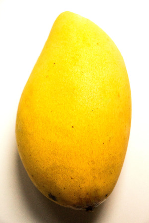 Yellow mango isolated on a white の写真素材