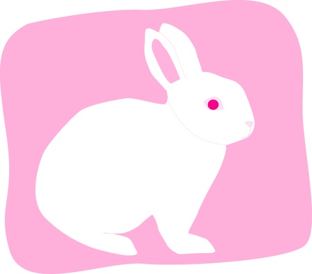 White rabbitのイラスト素材