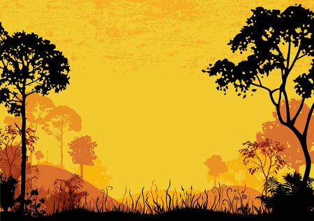 woodland at sunsetのイラスト素材