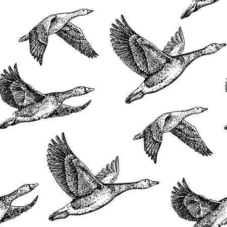 flying geese. Hand drawn illustration vintage patternのイラスト素材