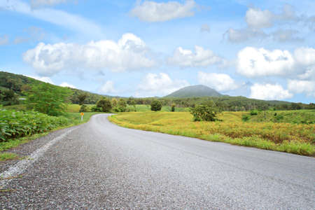 Road with forest and cloudy sky