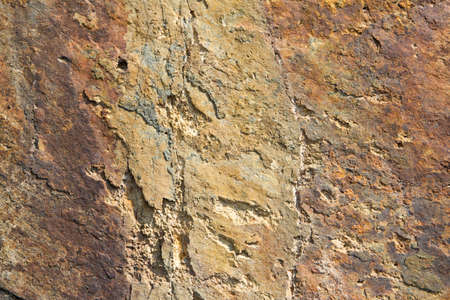 Detail of stone texture background.の写真素材