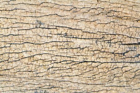 Texture of old wooden background.