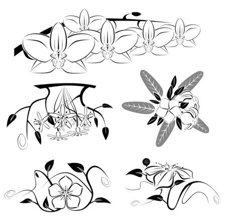 Flower graphic setのイラスト素材