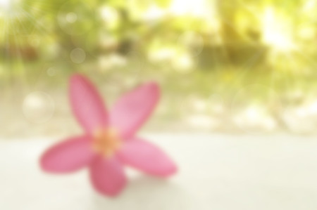 Abstract blurry green backgroundの写真素材