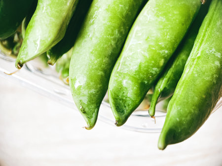 Harvest organic vegetables green peas.の写真素材