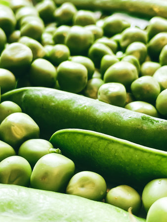 Harvest organic vegetables green peas.の写真素材