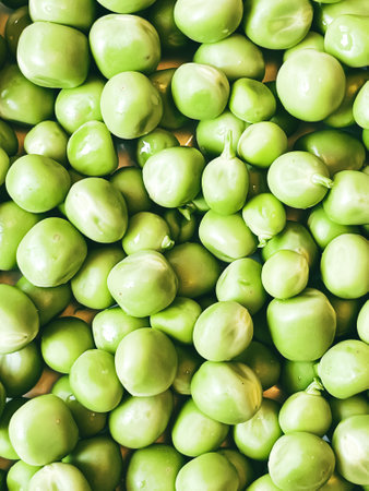 Harvest organic vegetables green peas.の写真素材