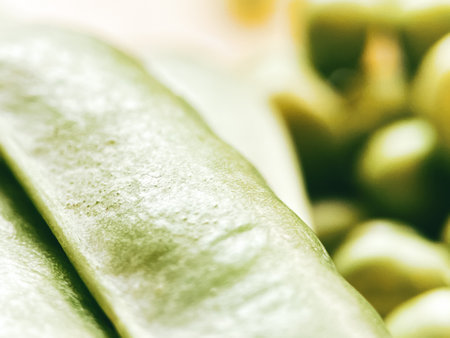 Harvest organic vegetables green peas.