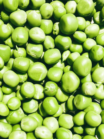 Harvest organic vegetables green peas.の写真素材
