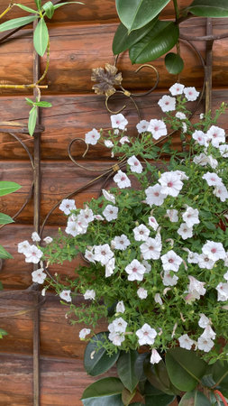 floral arrangement, romantic atmosphereの写真素材