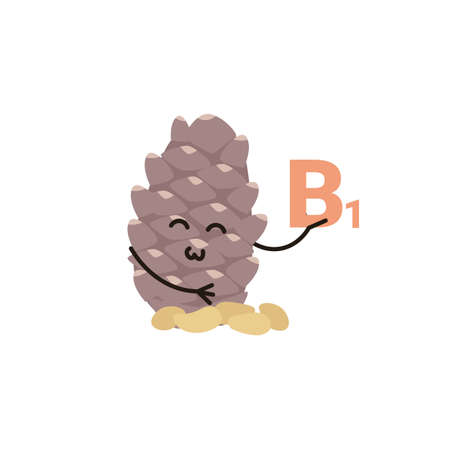 Cute happy smiling funny kawaii cone pine nut. Healthy Vitamin B1 product. Flat vector cartoon modern character illustration.のイラスト素材