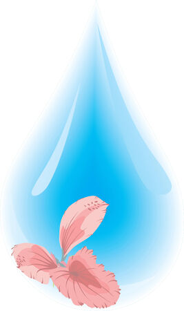 Clean water droplet with reflection of flower. Vector illustrationのイラスト素材
