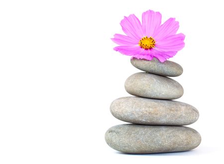 Pink flower on top of a stack of pebbles. Isolated on white backgroundの写真素材