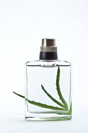 Aloe and bottle with perfumeの写真素材