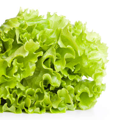 A lettuce is on the table. Isolated on a white bachgroundの写真素材