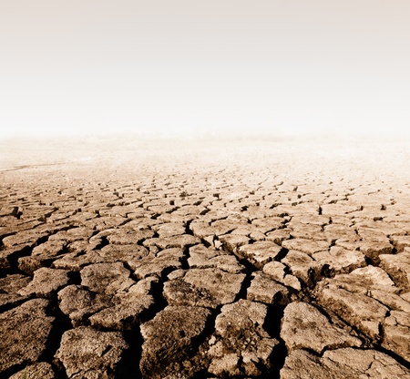  land with dry cracked groundの写真素材