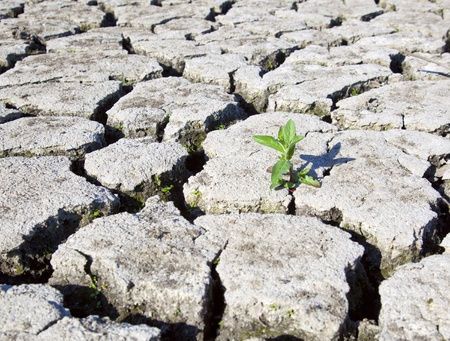  land with dry cracked groundの写真素材