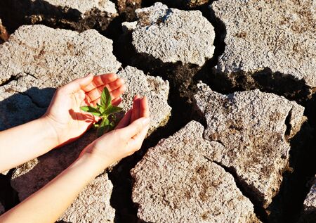  land with dry cracked groundの写真素材