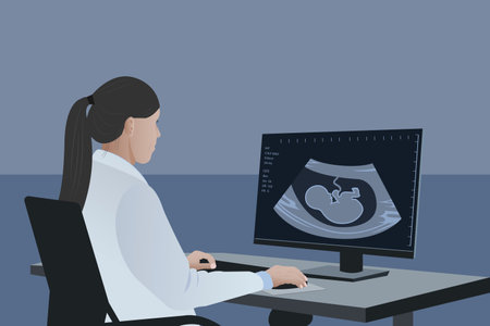 A female doctor looks at the result of an ultrasound scan. Medical diagnosis of a child in the womb, pregnancy and health, the procedure for examining the embryo, placenta, umbilical cordのイラスト素材