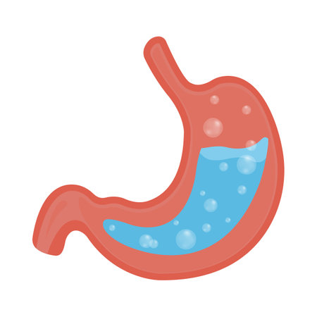 Vector medical illustration about stomach acid isolated. gastric reflux, stomach acid. Splashes of water. Bloatingのイラスト素材