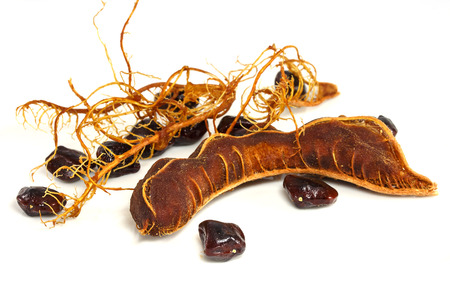sweet tamarind on white backgroundの写真素材