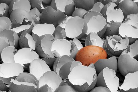 Cracked eggshell under the sunlightの写真素材