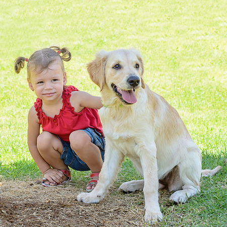 Cute girl with a dogの写真素材