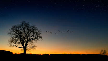 A landscape view in evening looking very goodの写真素材