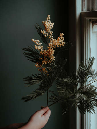 a beautiful abstract image with perfect lookingの写真素材