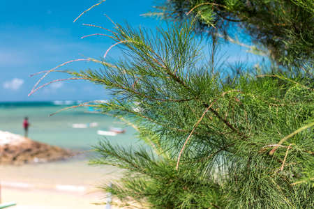 a beautiful landscape view looking very goodの写真素材