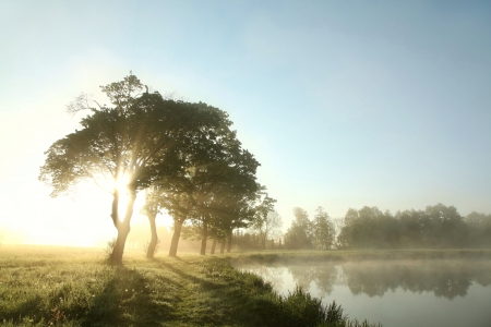Spring morning on the edge of the lakeの写真素材