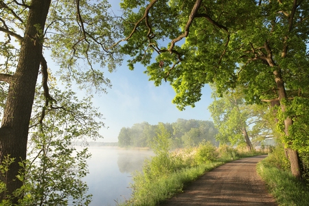 Country road on the edge of a lake on a foggy morning