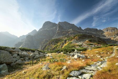 Trail in the valley leading to the peak in the Tatrasの写真素材