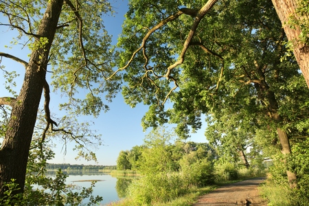 Idyllic landscape in the morning, July, Polandの写真素材